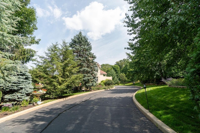 view of road featuring curbs