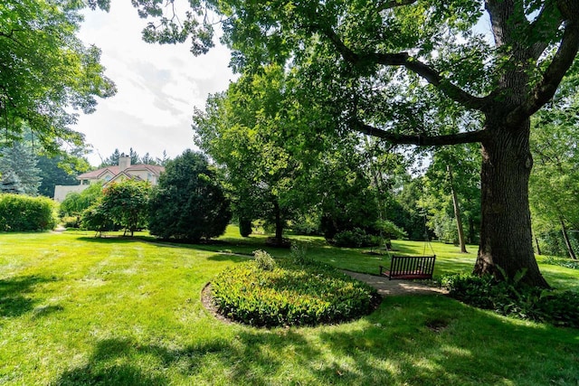 view of community featuring a lawn