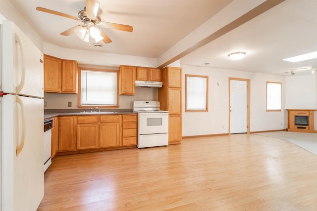 kitchen featuring white appliances, sink, ceiling fan, and light hardwood / wood-style floors