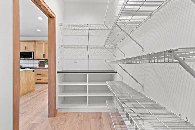 spacious closet featuring wood-type flooring