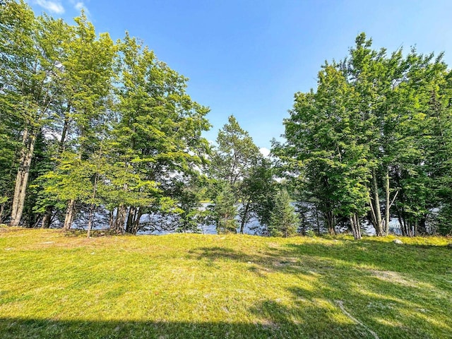 view of yard featuring a water view