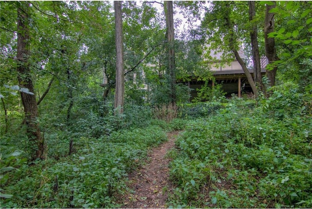 view of yard with a wooden deck