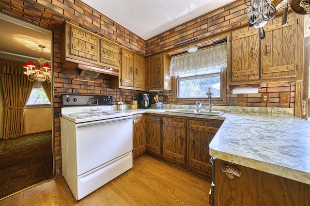 kitchen featuring white electric range, light hardwood / wood-style floors, and sink