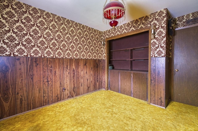 spare room with carpet floors and wooden walls