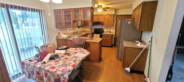 kitchen featuring light wood-type flooring, a healthy amount of sunlight, electric range, light stone countertops, and ceiling fan