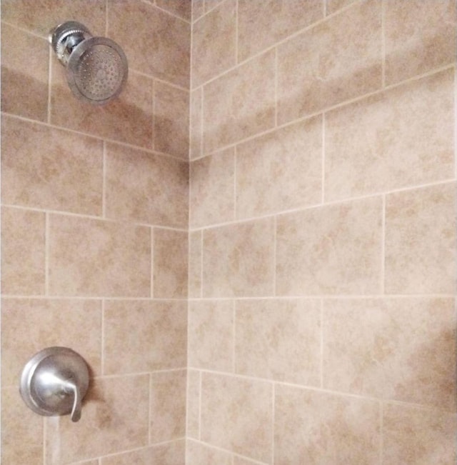 room details with a tile shower