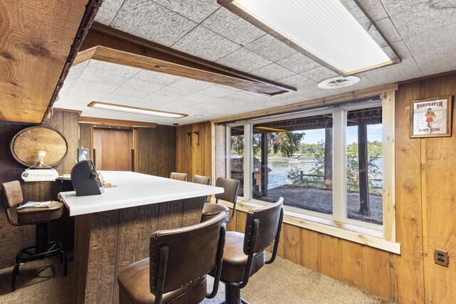 W11585 Demynck Rd, Lodi, WI 53555 - bar with a bar, wood walls, and carpet
