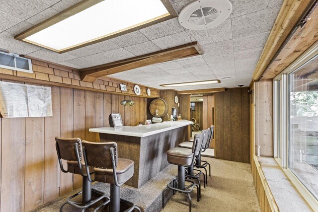 W11585 Demynck Rd, Lodi, WI 53555 - bar featuring a dry bar, wood walls, visible vents, and light colored carpet