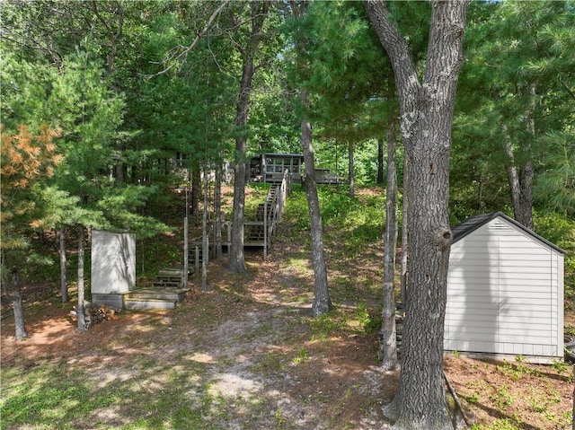 view of yard with a storage shed