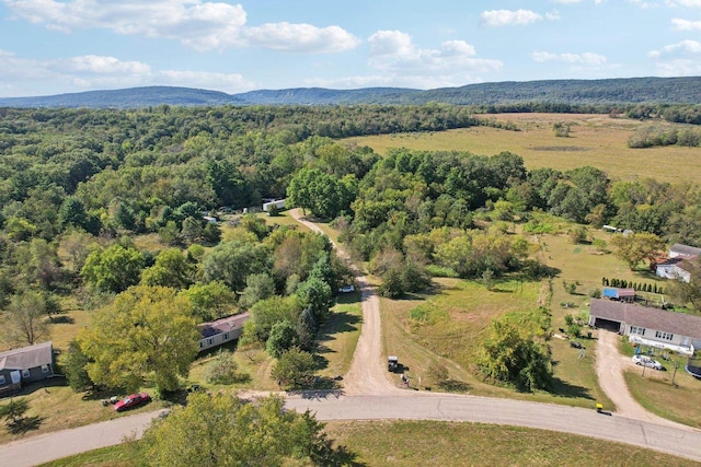 drone / aerial view featuring a rural view