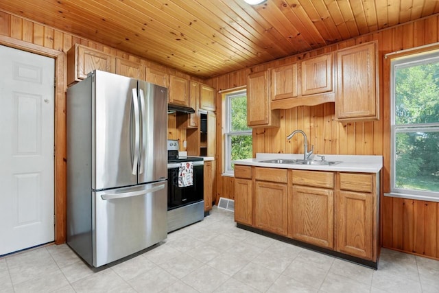 kitchen with plenty of natural light, stainless steel appliances, sink, and wooden walls