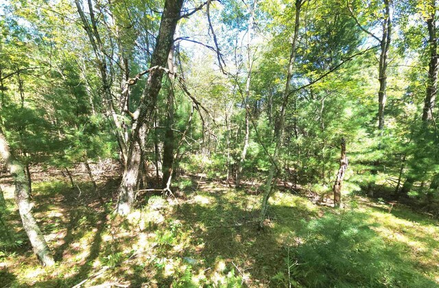 W Pine Creek Rd, Hixton WI, 54635 land for sale