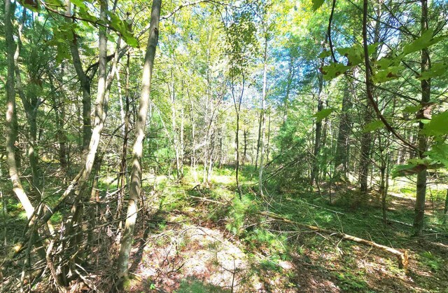 Listing photo 3 for W Pine Creek Rd, Hixton WI 54635