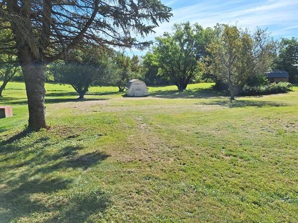 view of yard featuring a storage unit