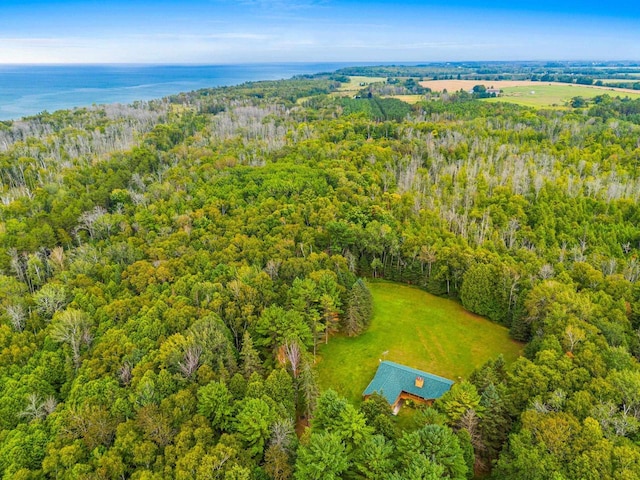 bird's eye view featuring a water view and a view of trees