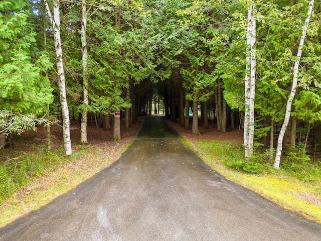 view of street with a wooded view