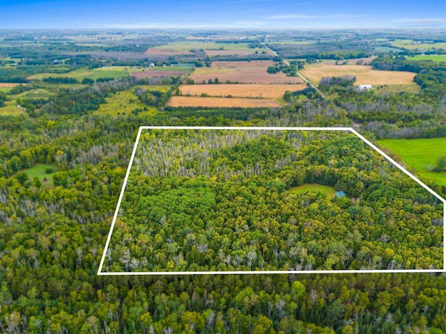 bird's eye view featuring a rural view and a view of trees