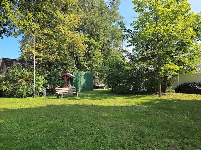 view of yard featuring a storage shed