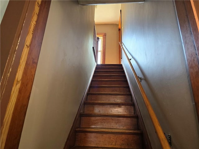 stairs with hardwood / wood-style flooring