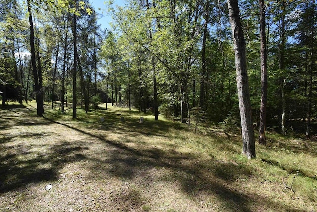 view of landscape