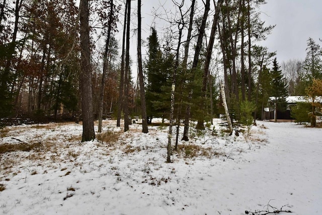 view of snow covered land