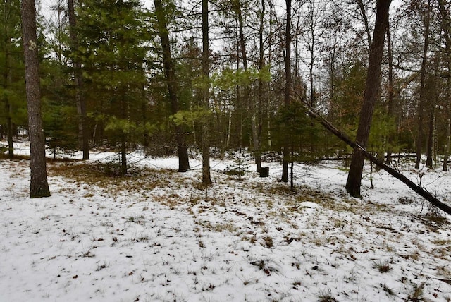 view of snow covered land