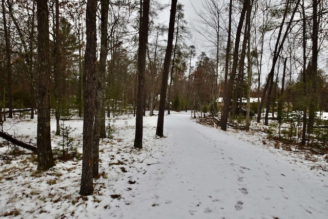 view of snowy yard