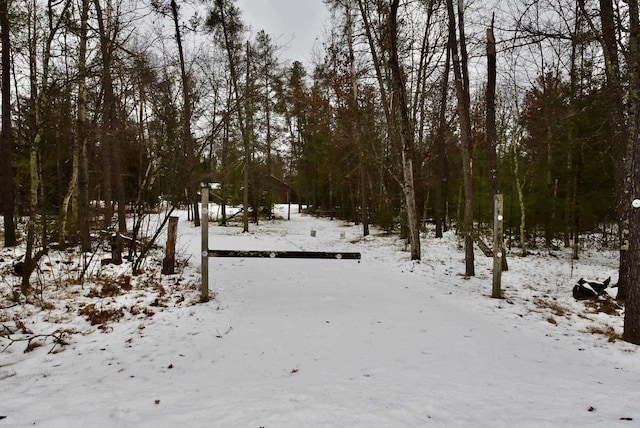 view of snow covered land