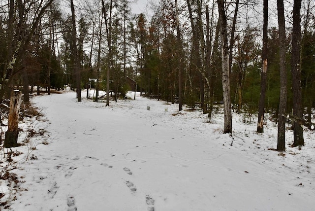 view of snow covered land