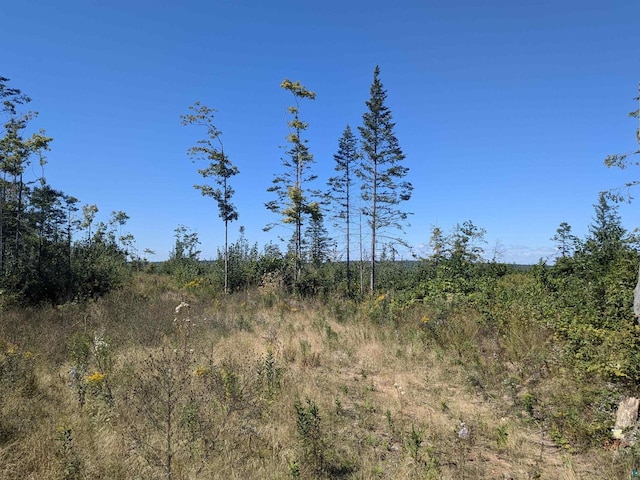 Listing photo 2 for LOT1 Peterson Hill Rd, Bayfield WI 54814