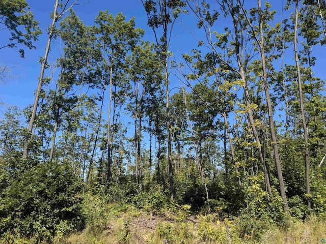 Listing photo 3 for LOT1 Peterson Hill Rd, Bayfield WI 54814