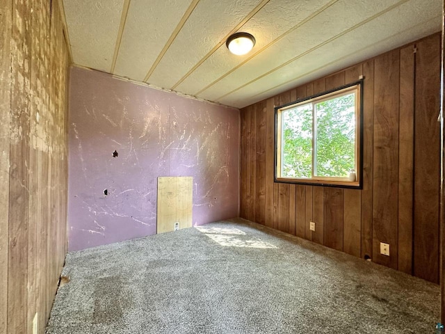 1118 Prentice Ave, Ashland, WI 54806 - carpeted spare room featuring wooden walls and a textured ceiling