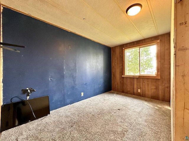 1118 Prentice Ave, Ashland, WI 54806 - empty room with carpet flooring and wooden walls