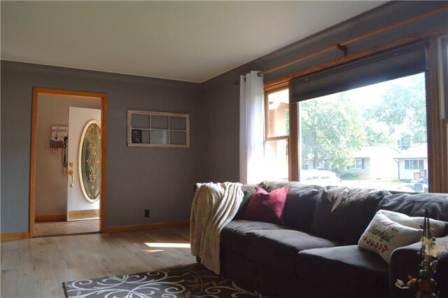 living room featuring hardwood / wood-style flooring