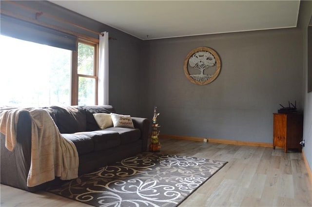 living room featuring light hardwood / wood-style floors