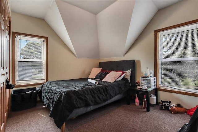 bedroom with lofted ceiling and carpet flooring