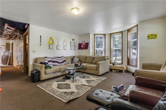 living room with carpet