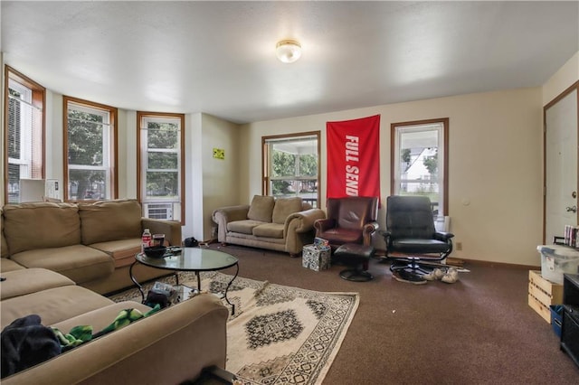 living room featuring carpet