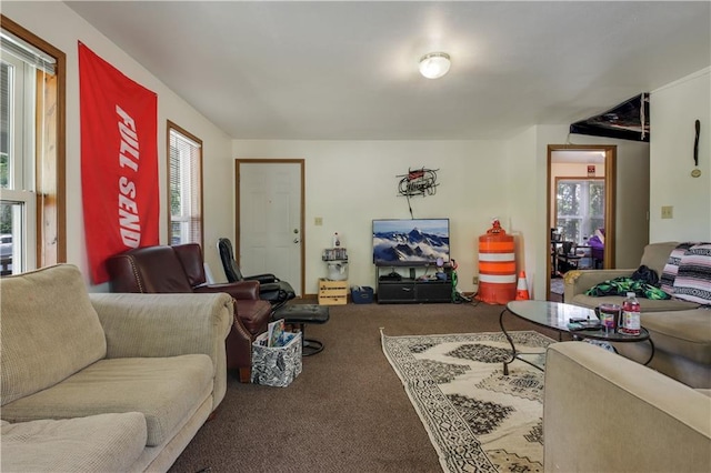 living room with a wealth of natural light and carpet