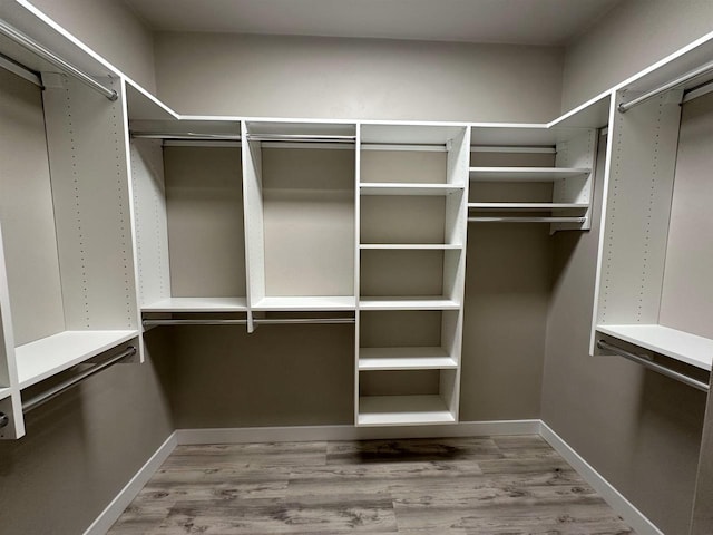 spacious closet featuring wood finished floors