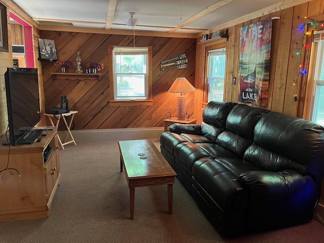 living room with wood walls and carpet floors