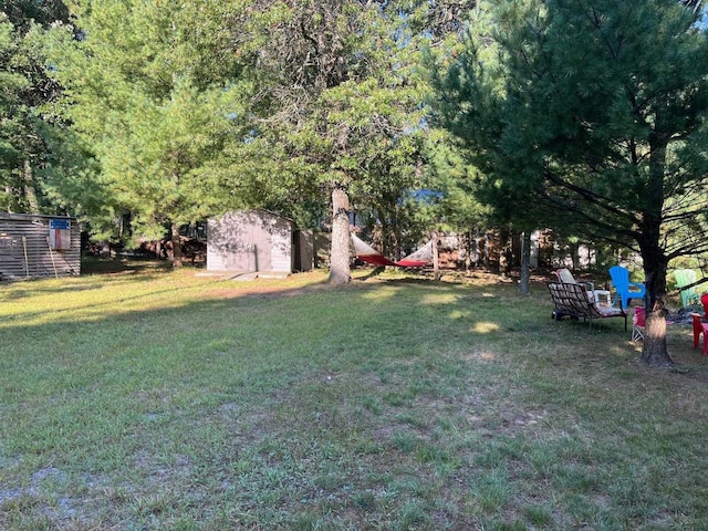 view of yard with a storage unit