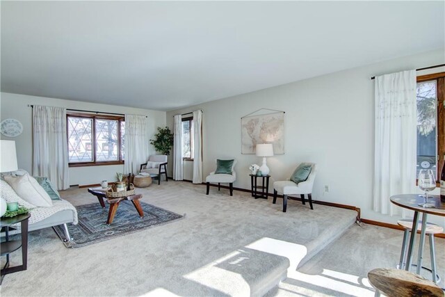 living room featuring light colored carpet