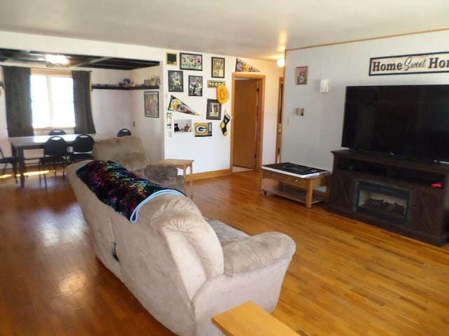 living room with hardwood / wood-style floors