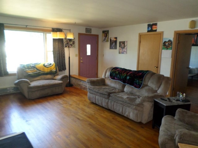 living room with hardwood / wood-style flooring