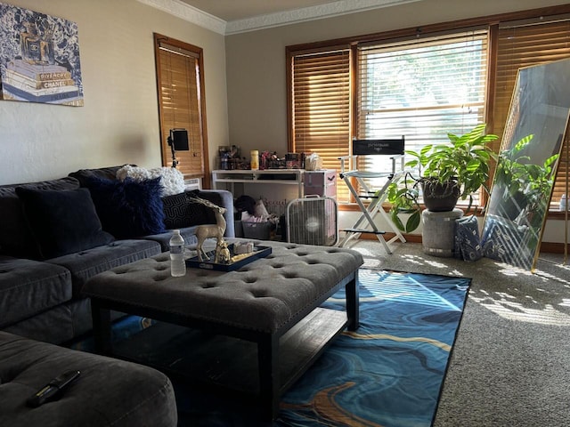 living room with crown molding and carpet