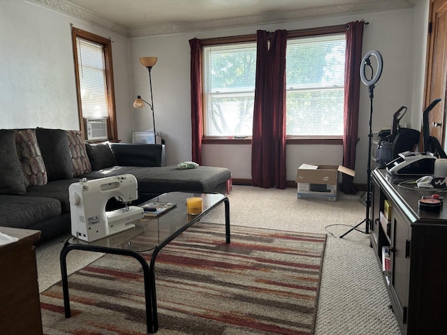 living room featuring ornamental molding and carpet