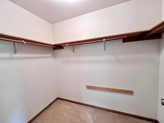 spacious closet with carpet flooring