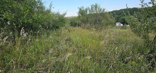 Listing photo 3 for LOT108 White Flagg Ln, La Valle WI 53941