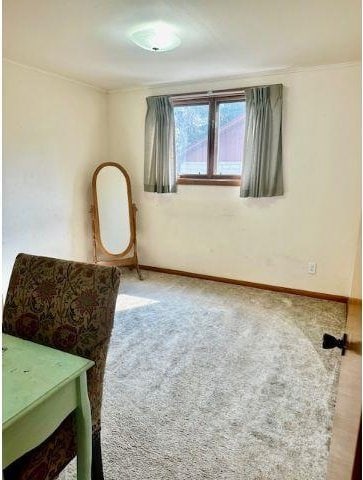 living area featuring ornamental molding and carpet floors